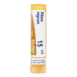 Ribes nigrum 15ch gr