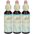 Rock water bach orig 20ml 3x20 ml gocce orali
