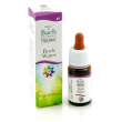 Rock water gun gocce 10ml