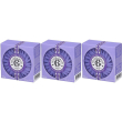 Roger&gallet saponetta di benessere lavande royale 3x100 g