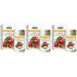 Rosa canina 3x100 g polvere per soluzione orale