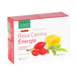 Rosa canina energy 10amp 10ml
