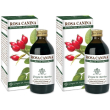 Rosa canina estratto integrale 200 ml 2x200 ml soluzione orale