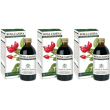 Rosa canina estratto integrale 200 ml 3x200 ml soluzione orale