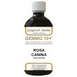 Rosa canina liquido anal gemmo 10+