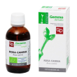Rosa canina mg bio 50ml