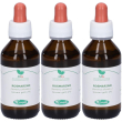 Rosmarino macerato glicerico 100 ml 3x100 ml soluzione orale