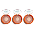 Rougj terra abbronzante water resistant spf 15 chiara 3x1 st