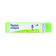 Rumex crispus 5ch gr
