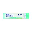 Ruta graveolens 6ch 80gr 4g