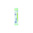 Ruta graveolens 5ch 80gr 4g