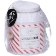 Saite cheesecake miscela infusionale 100 g te