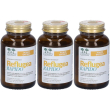 Salugea reflugea rapido compresse masticabili 3x62,1 g masti