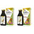 Salus b complex set da 2 2x250 ml soluzione orale