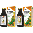 Salus haus mangesium mineral-drink 2x250 ml sciroppo