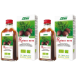 Salus rafano nero succo set da 2 2x200 ml sciroppo