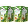 Salus tisana detox bio set da 2 2x72 g te