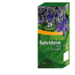 Aurora salvident soluzione ialuronica spray 30 ml