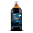 Salugea succo sambuco bio500ml