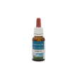 Sambuco rimedio 20ml flosanimi