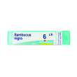 Sambucus nigra 6ch 80gr 4g