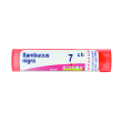 Sambucus nigra 7ch 80gr 4g