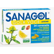 Sanagol gola voce 24 caramelle senza zucchero