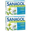 Sanagol menta fredda 2x24 pz caramelle