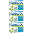Sanagol menta fredda 3x24 pz caramelle