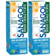 Sanagol spray forte erbe balsamiche 20 ml 2x20 ml