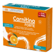 Sanavita carnitina forte 14 bustine