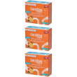 Sanavita carnitina forte bustine 3x49 g polvere per soluzione orale