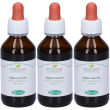 Sangalli alga mari tintura madre gocce 3x100 ml soluzione