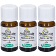 Sangalli olio essenziale eucaliptus 3x10 ml soluzione orale