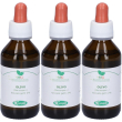 Sangalli olivo macerato glicerico gocce 100 ml soluzione orale