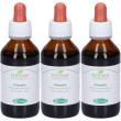 Sangalli pilosella foglie tintura madre gocce 3x100 ml orali