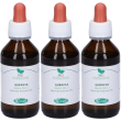Sangalli quercia penducolata macerato glicerico gocce 3x100 ml soluzio
