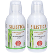 Sangalli silistica soluzione orale 2x500 ml orale