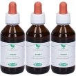 Sangalli sorbo macerato glicerico gocce 3x100 ml soluzione orale