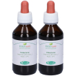 Sangalli valeriana radice tintura madre gocce 2x100 ml orali