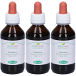 Sangalli valeriana radice tintura madre gocce 3x100 ml orali