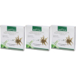 Santiveri harpagophytum procumbens dc. e.s.p articolazioni 3x10x10 ml