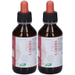 Santiveri zefirus pro cardio 2x100 ml gocce orali