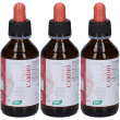 Santiveri zefirus pro cardio 3x100 ml gocce orali