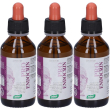 Santiveri zefirus pro endocrin 3x100 ml gocce orali