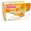 Sapori di naturale omogeneizzato al/ba100gx4