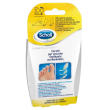 Scholl cer vesciche mis miste