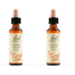 Schwabe pharma cherry plum bach orig 2x20 ml gocce orali