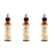 Schwabe pharma cherry plum bach orig 3x20 ml gocce orali