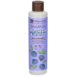 Shampoo bio antiossidante 200 ml